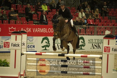 Dansk varmblod hingstekåring.
Unghestechampionatet spring
Nøgleord: aagaardens zarrico;dennis noes nielsen