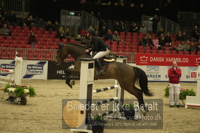 Dansk varmblod hingstekåring.
Unghestechampionatet spring
Nøgleord: aagaardens zarrico;dennis noes nielsen