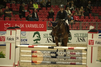 Dansk varmblod hingstekåring.
Unghestechampionatet spring
Nøgleord: lyon;nadia dahl