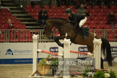 Dansk varmblod hingstekåring.
Unghestechampionatet spring
Nøgleord: lyon;nadia dahl