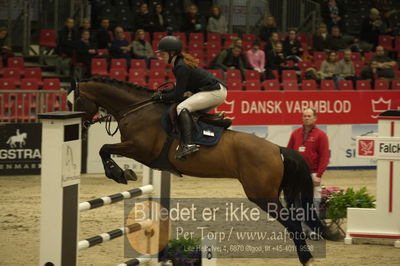 Dansk varmblod hingstekåring.
Unghestechampionatet spring
Nøgleord: lyon;nadia dahl