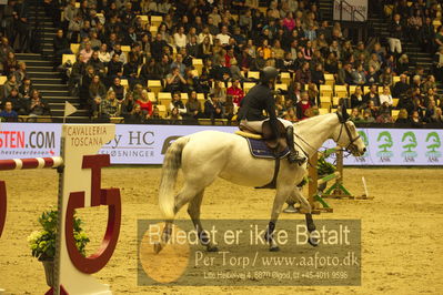 Dansk varmblod hingstekåring.
STUTTERI ASK Grand Prix 150 cm CSI3
Nøgleord: karin martinsen;bella