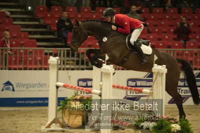 Dansk varmblod hingstekåring.
Unghestechampionatet spring
Nøgleord: engerupgaards cashatt;christoffer nerving møllekær