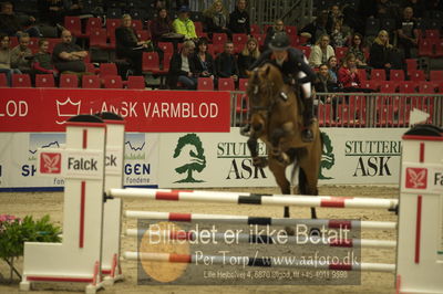 Dansk varmblod hingstekåring.
Unghestechampionatet spring
Nøgleord: casey;trine lindberg