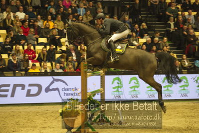 Dansk varmblod hingstekåring.
STUTTERI ASK Grand Prix 150 cm CSI3
Nøgleord: hans thorben rüder;pure pitu