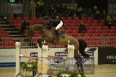 Dansk varmblod hingstekåring.
Unghestechampionatet spring
Nøgleord: casey;trine lindberg