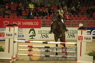 Dansk varmblod hingstekåring.
Unghestechampionatet spring
Nøgleord: k2 django;nadia  siesbye suhr