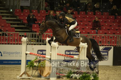 Dansk varmblod hingstekåring.
Unghestechampionatet spring
Nøgleord: k2 django;nadia  siesbye suhr