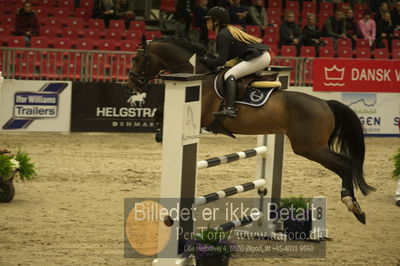 Dansk varmblod hingstekåring.
Unghestechampionatet spring
Nøgleord: k2 django;nadia  siesbye suhr