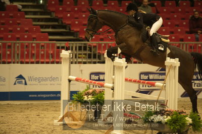 Dansk varmblod hingstekåring.
Unghestechampionatet spring
Nøgleord: syvhøjegårds enzo;lykke andersen