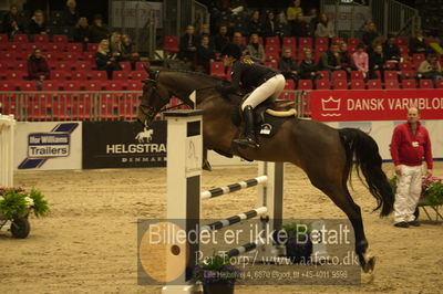 Dansk varmblod hingstekåring.
Unghestechampionatet spring
Nøgleord: syvhøjegårds enzo;lykke andersen