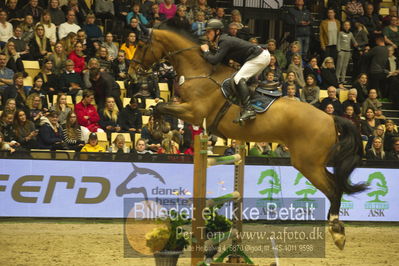 Dansk varmblod hingstekåring.
STUTTERI ASK Grand Prix 150 cm CSI3
Nøgleord: mathias nørheden johansen;balu u