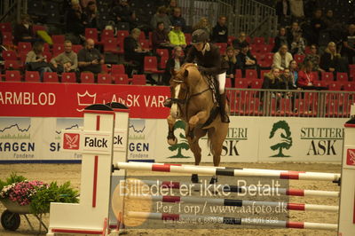 Dansk varmblod hingstekåring.
Unghestechampionatet spring
Nøgleord: a n cassious;dorthe sevaldsen fallet