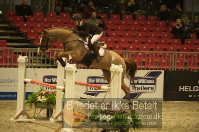 Dansk varmblod hingstekåring.
Unghestechampionatet spring
Nøgleord: a n cassious;dorthe sevaldsen fallet