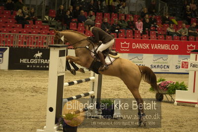 Dansk varmblod hingstekåring.
Unghestechampionatet spring
Nøgleord: a n cassious;dorthe sevaldsen fallet