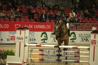 Dansk varmblod hingstekåring.
Unghestechampionatet spring
Nøgleord: caracas bkh;søren hedegård