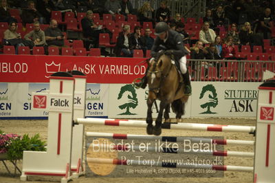 Dansk varmblod hingstekåring.
Unghestechampionatet spring
Nøgleord: caracas bkh;søren hedegård