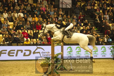 Dansk varmblod hingstekåring.
STUTTERI ASK Grand Prix 150 cm CSI3
Nøgleord: benedikte rie truelsen;cassina z