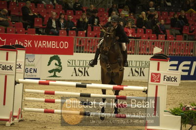 Dansk varmblod hingstekåring.
Unghestechampionatet spring
Nøgleord: bentley ph;alan bilgrav christensen