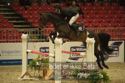 Dansk varmblod hingstekåring.
Unghestechampionatet spring
Nøgleord: bentley ph;alan bilgrav christensen