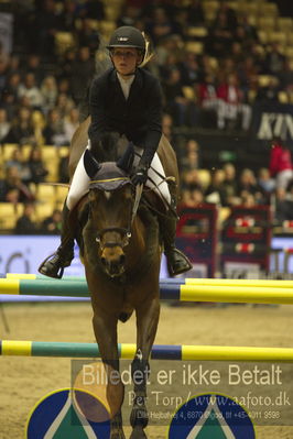 Dansk varmblod hingstekåring.
STUTTERI ASK Grand Prix 150 cm CSI3
Nøgleord: zasha nygaard andersen;chameur 137