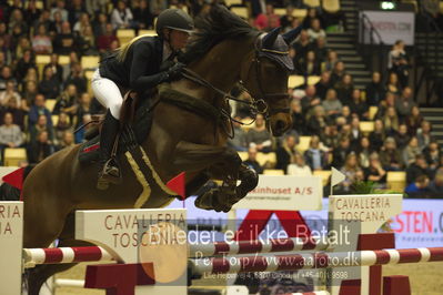 Dansk varmblod hingstekåring.
STUTTERI ASK Grand Prix 150 cm CSI3
Nøgleord: zasha nygaard andersen;chameur 137