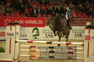 Dansk varmblod hingstekåring.
Unghestechampionatet spring
Nøgleord: volstrups celtic;anne hou christensen