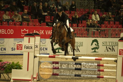 Dansk varmblod hingstekåring.
Unghestechampionatet spring
Nøgleord: hait ask;karen  møller rohde