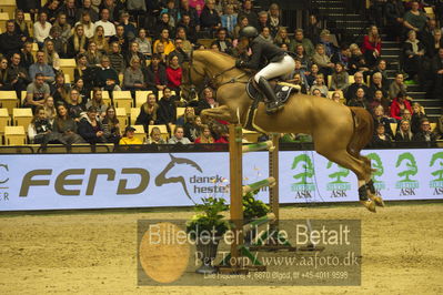 Dansk varmblod hingstekåring.
STUTTERI ASK Grand Prix 150 cm CSI3
Nøgleord: joao victor castro;quintin pj