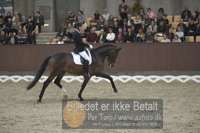 Dansk Rideforbunds Championats finaler 2018 dressur
Dansk Rideforbunds Championats finaler 2018
5 års præmie - 6års klassen
Nøgleord: lammehavens brother;henrik christensen