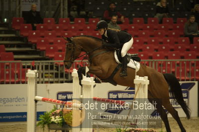 Dansk varmblod hingstekåring.
Unghestechampionatet spring
Nøgleord: hait ask;karen  møller rohde