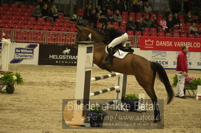 Dansk varmblod hingstekåring.
Unghestechampionatet spring
Nøgleord: hait ask;karen  møller rohde