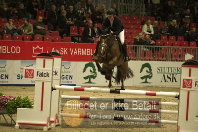 Dansk varmblod hingstekåring.
Unghestechampionatet spring
Nøgleord: candela veritas;anja kit andersen