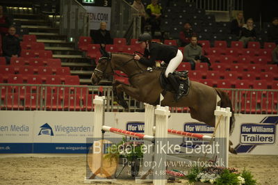 Dansk varmblod hingstekåring.
Unghestechampionatet spring
Nøgleord: candela veritas;anja kit andersen