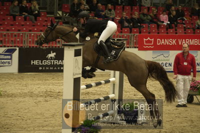 Dansk varmblod hingstekåring.
Unghestechampionatet spring
Nøgleord: candela veritas;anja kit andersen