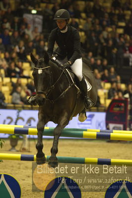 Dansk varmblod hingstekåring.
STUTTERI ASK Grand Prix 150 cm CSI3
Nøgleord: evi bengtson;la pasion de cabello ulika