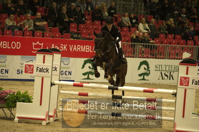 Dansk varmblod hingstekåring.
Unghestechampionatet spring
Nøgleord: dialensky;pernille tribler
