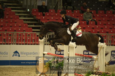 Dansk varmblod hingstekåring.
Unghestechampionatet spring
Nøgleord: dialensky;pernille tribler