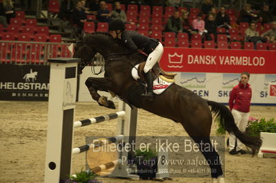 Dansk varmblod hingstekåring.
Unghestechampionatet spring
Nøgleord: dialensky;pernille tribler