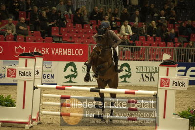 Dansk varmblod hingstekåring.
Unghestechampionatet spring
Nøgleord: chinchero-vitz;laila pdersen