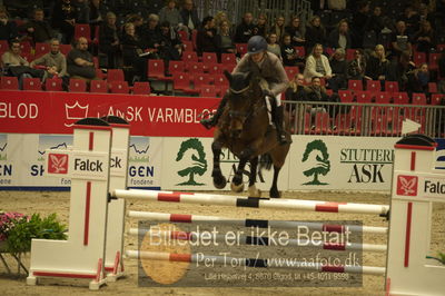 Dansk varmblod hingstekåring.
Unghestechampionatet spring
Nøgleord: chinchero-vitz;laila pdersen