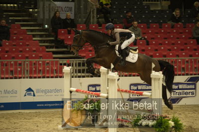 Dansk varmblod hingstekåring.
Unghestechampionatet spring
Nøgleord: chinchero-vitz;laila pdersen