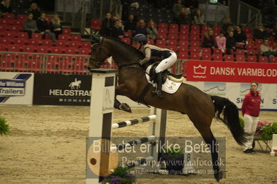 Dansk varmblod hingstekåring.
Unghestechampionatet spring
Nøgleord: chinchero-vitz;laila pdersen