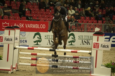 Dansk varmblod hingstekåring.
Unghestechampionatet spring
Nøgleord: fanth's focus;martin knudsen