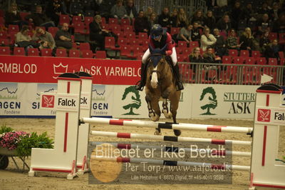 Dansk varmblod hingstekåring.
Unghestechampionatet spring
Nøgleord: quincidence;rikke haastrup kristensen