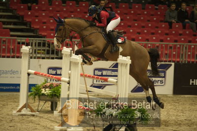 Dansk varmblod hingstekåring.
Unghestechampionatet spring
Nøgleord: quincidence;rikke haastrup kristensen