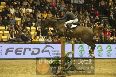 Dansk varmblod hingstekåring.
STUTTERI ASK Grand Prix 150 cm CSI3
Nøgleord: søren møller rohde;todt un prince ask