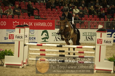 Dansk varmblod hingstekåring.
Unghestechampionatet spring
Nøgleord: charli;stephanie jones