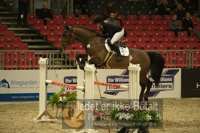 Dansk varmblod hingstekåring.
Unghestechampionatet spring
Nøgleord: charli;stephanie jones