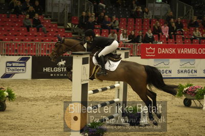 Dansk varmblod hingstekåring.
Unghestechampionatet spring
Nøgleord: charli;stephanie jones